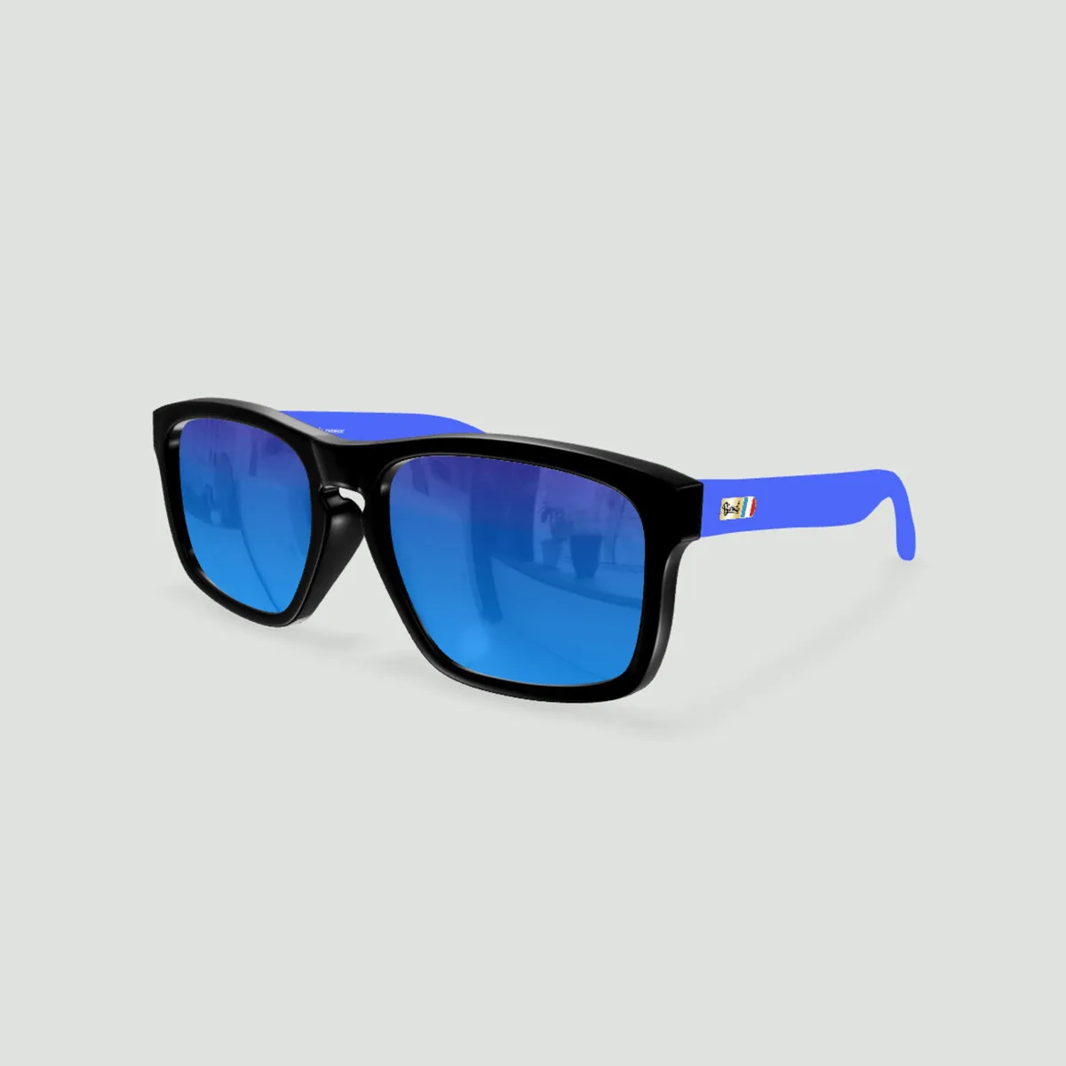 Daytona France Supporter – Supporter Sunglasses