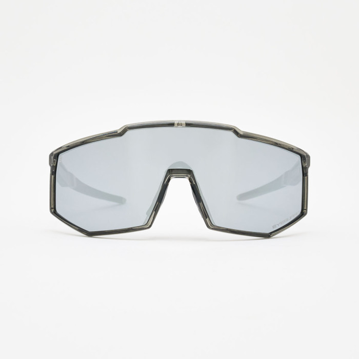 Horizon Polarized SI