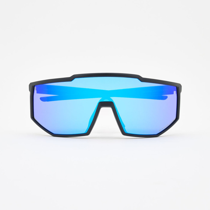 Horizon Polarized BL