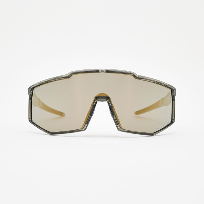 Horizon Polarized GD