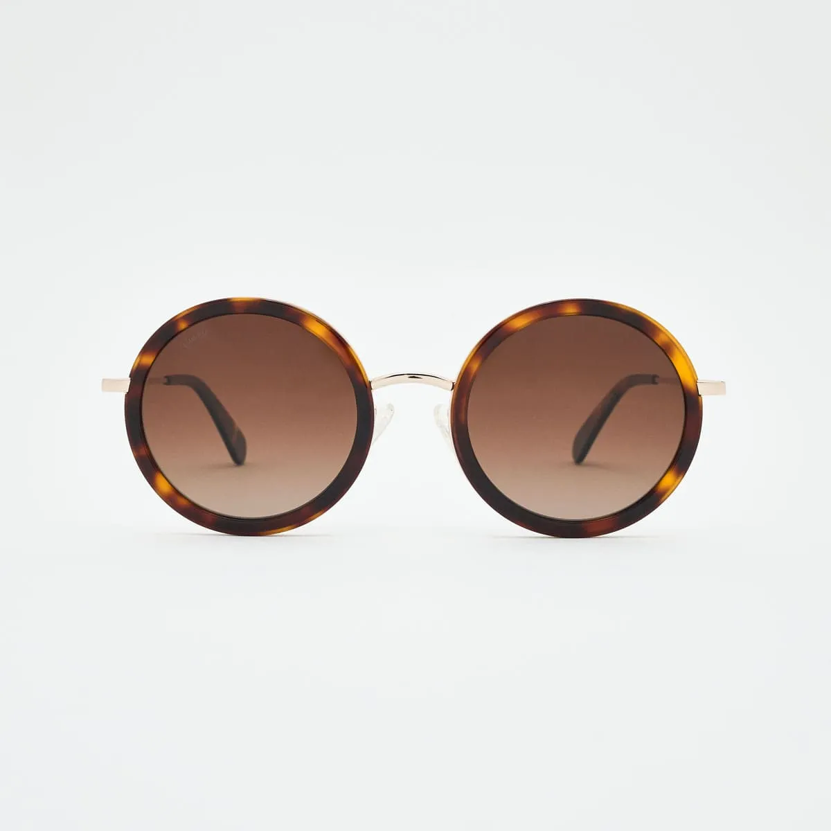 Lunettes Monica oversize — Glamour courbes élégantes