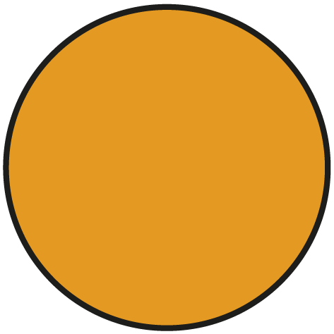 orange-custom.png