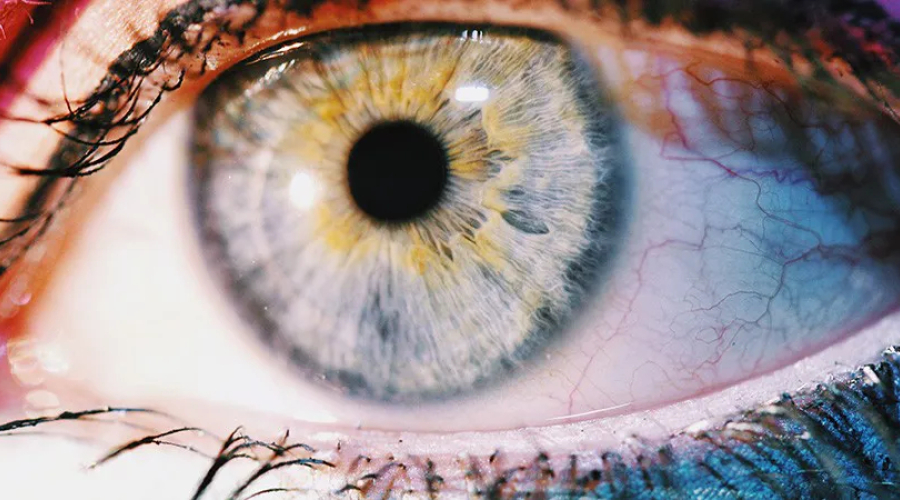 Comment le daltonisme altère la vision ?