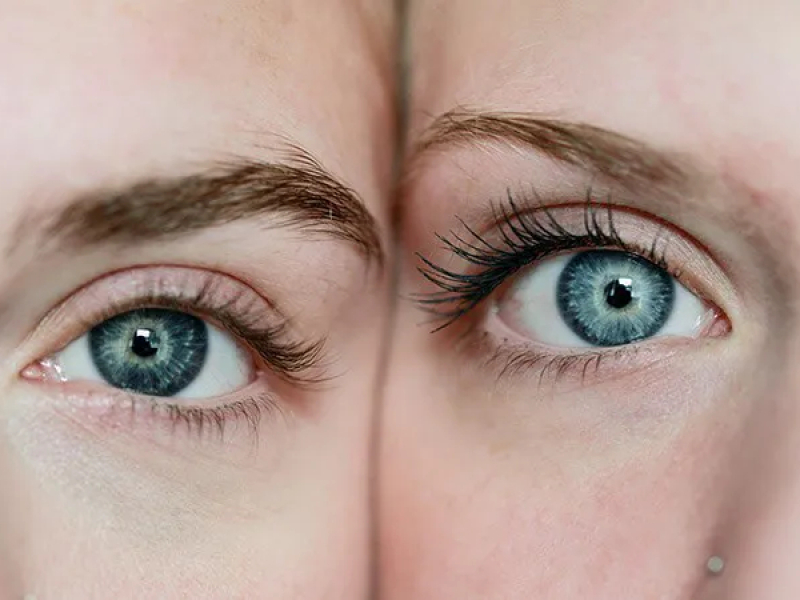 Quel mystère se cache derrière la couleur des yeux ?