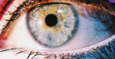 Comment le daltonisme altère la vision ?